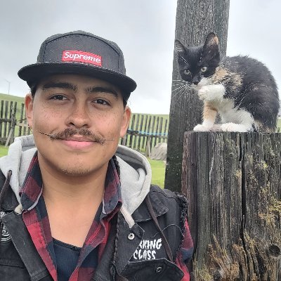 innukumi's profile picture. 