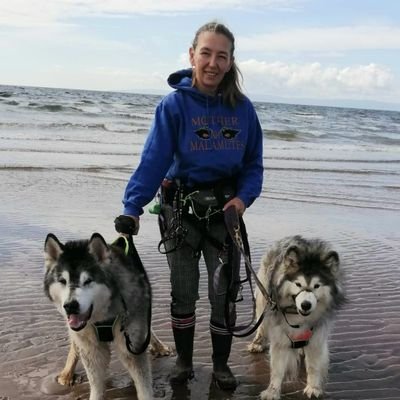 Civil Servant with DWP, I have 2 Alaskan Malamutes who are waiting at the 🌈 bridge, and have recently adopted Stormsy. I Volunteer for Saints Sled Dog Rescue.