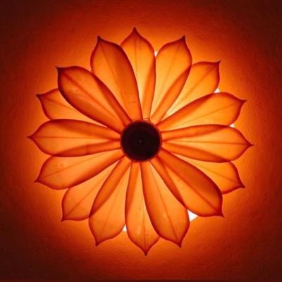 SabaOpina's profile picture. 