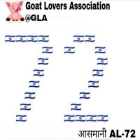 आसमानी कटमुल्ला Al-72® (@subhankar050780) 's Twitter Profile