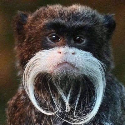 HillarySapot's profile picture. I am not YOU! Everything else makes sense when you understand this!