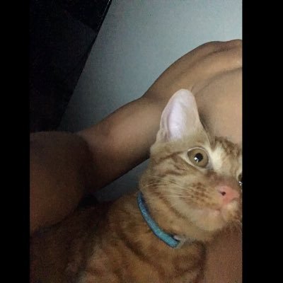 MPTW211's profile picture. 