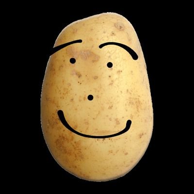 bowtiedpotato's profile picture. 