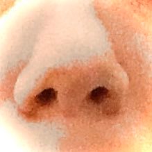 smellycity's profile picture. Charting odours of (usually) London on daily walks and commutes. All smells are not my own.