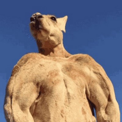 sungjik88's profile picture. 