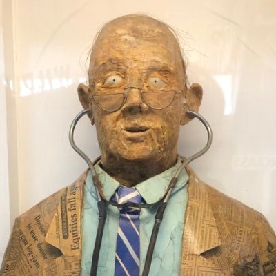 mikefordhamvids's profile picture. Film maker and tortoise keeper.