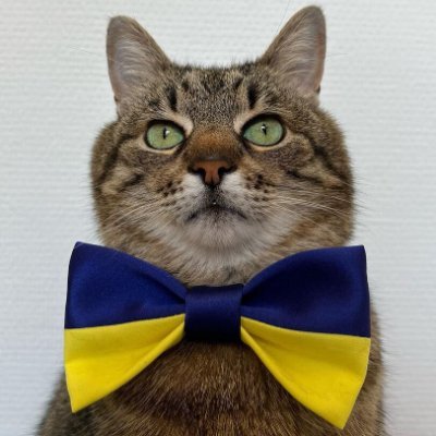 folkwulf's profile picture. Program something interesting.