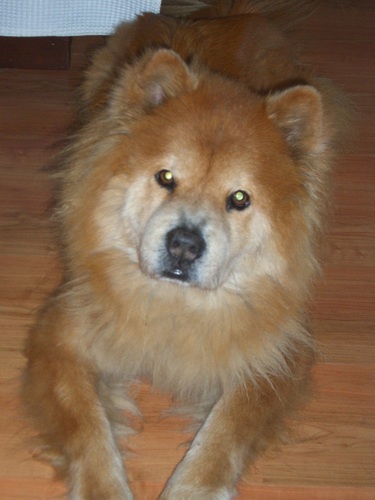 jairoedg's profile picture. 