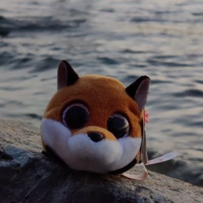 Just a tiny fox traveling around the world 🦊🌎

My dad's are: @h5000_ and @HeyitsLane_SL