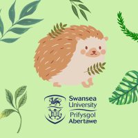 Swansea Hedgehog Friendly Campus (@swanhog) 's Twitter Profile