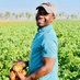 Farmer-In-Chief (@MamboMatienga) Twitter profile photo