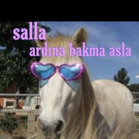 anestezii (@anestezii123) 's Twitter Profile Photo