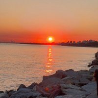 Deniz (@transtandal) 's Twitter Profile