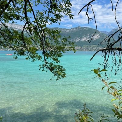 TheoVllr's profile picture. Consultant senior / Crypto enthusiast