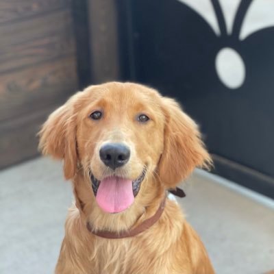 sheltsand's profile picture. God Bless The University of Tennessee