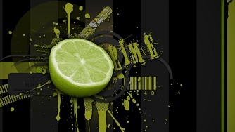 Lime Global is providing a fresh invigorating transparent approach to the partners we work with in the IT Recruitment Industry.