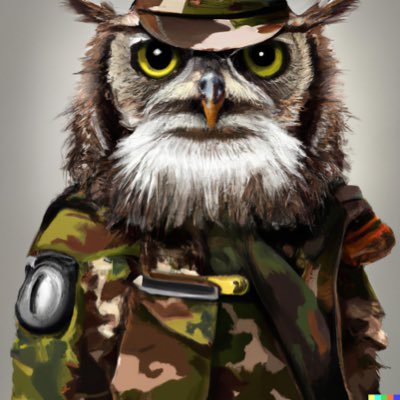 Formerly @ABoredOwl1 . Videos, memes, dodgy photoshop, and occasional owl content. Don’t come here for sensible debate.