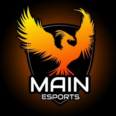 Perfil oficial da MAIN Esports || Organização de Esports focada na modalidade TFT || Fundada em 2021 ✨
#GoMAIN 🎮