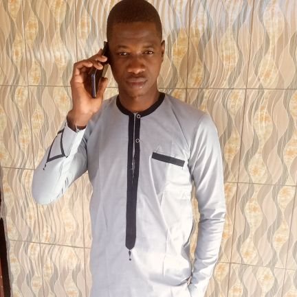 je suis Famory Niama Dionsan, né vers 1995 à Bafing Makana,commune de Kokofata, cercle de kita . je suis un étudiant , historien chercheur .