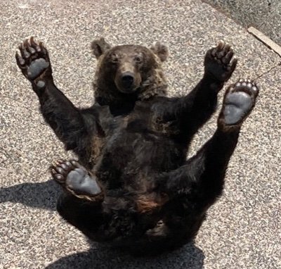 ow5brnItJjaepOg's profile picture. 