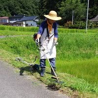 だいごろう (@ai9ms30yftpxtu3) 's Twitter Profile