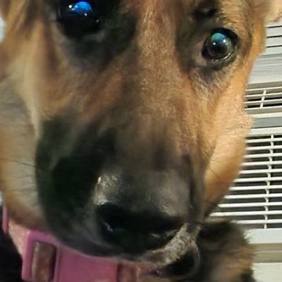 JoeComb61880594's profile picture. God,Family, County. Deplorable Trump supproting ,no pro noun using man. Born and raised in FL. live in South Louisiana. Sending dm means blocked.