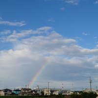 マキ (@gmsk583810) 's Twitter Profile