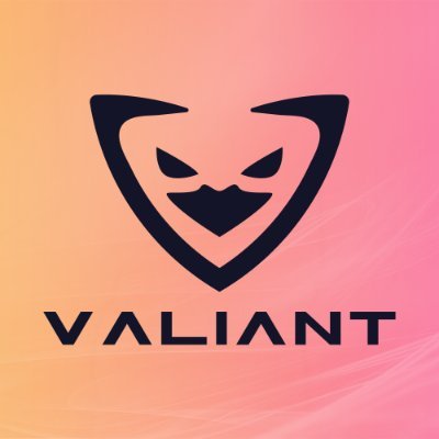 German eSports organization since 2020 | CS:GO | #beVALIANT