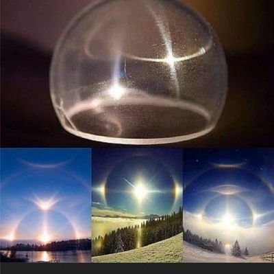 bshelly895's profile picture. 