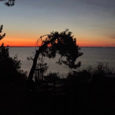 pauldesbaines's profile picture. 