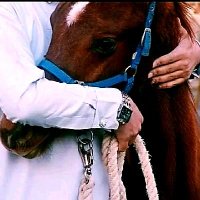 Saad (@s10i0i) 's Twitter Profile