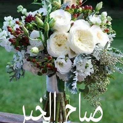 Imran3294's profile picture. 