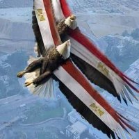 الحمله الشعبيه للثوره.. جهه سياديه (@asyadyh) 's Twitter Profile