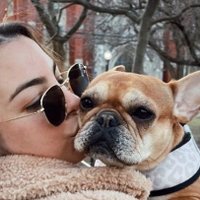 Crystal Wasto (@smith_pug1) 's Twitter Profile