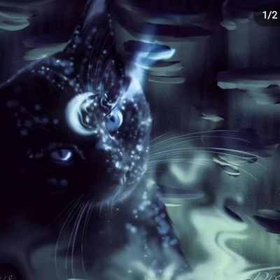 Kitty_blue.0960さんのプロフィール画像