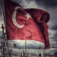 gokhan t. (@g_alp_) Twitter profile photo