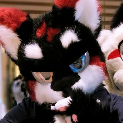 Meng7Li's profile picture. 别怕，㰀檬在这里，一直都在哦~
巨蟹INFJ–A，正常XP，但是变态福瑞控，欸嘿~
QQ:1466591021
小群:794447368
B站:UID：433229413