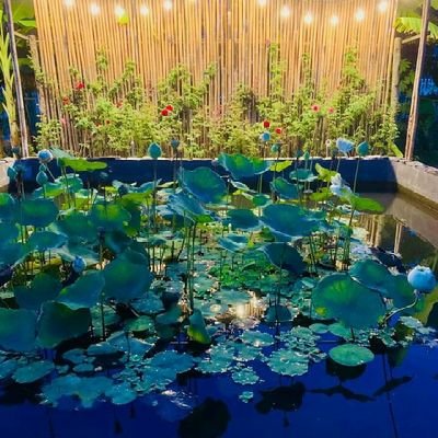 AThiyachandru's profile picture. 