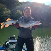 Nikki Scott (@nikkikinderthe) 's Twitter Profile