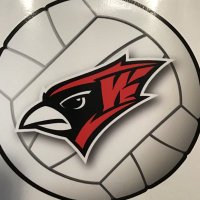 Willmar Volleyball (@willmarvb) Twitter profile photo
