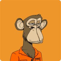 BAYC#228 (@228bayc) 's Twitter Profile