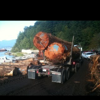 LoggermanDustin's profile picture. 