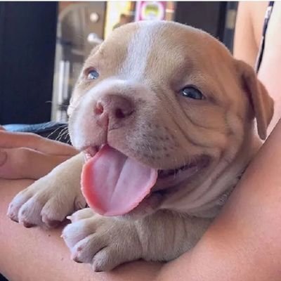 nzatelela's profile picture. 