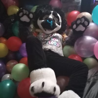 Ahoy_Hawk's profile picture. 