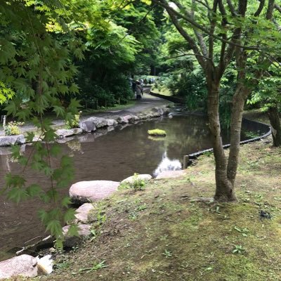 phgczj's profile picture. 