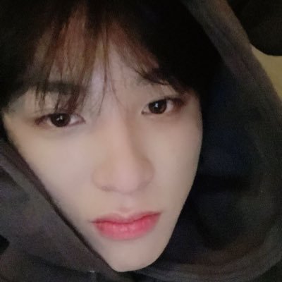 𓈈 for lisa,junkyu,junghwan,sunwoo,wonwoo, wonton, jcash 🛒 | #kyuhwanproof for proofs