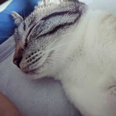 NoDtgT2BjQJoBjK's profile picture. 