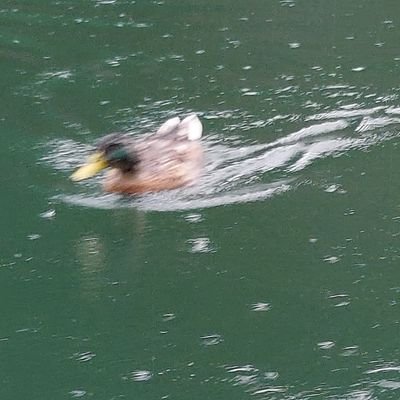 旭丘71期(硬テ・AQuA)→名大経済→社会人/ゴルフ/名大クイ研だった人/第2回名大オープン大会長だった人/ソガスリバー・僻地・Qastella/競馬・ウマ娘
/稲妻杯オープン