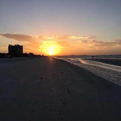 tonigirl12's profile picture. 