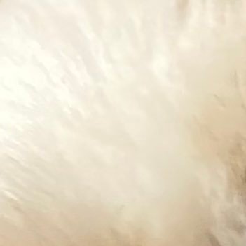 ____042810's profile picture. 